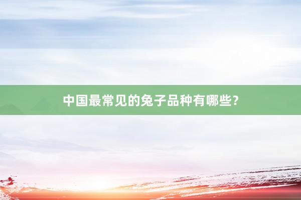 中国最常见的兔子品种有哪些?